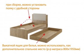 Дуглас (подростковая) М14 Кровать в Снежинске - snezhinsk.mebel-74.com | фото