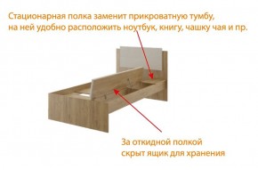 Дуглас (подростковая) М14 Кровать в Снежинске - snezhinsk.mebel-74.com | фото