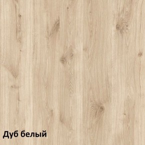 Эйп Шкаф для одежды 13.334 в Снежинске - snezhinsk.mebel-74.com | фото