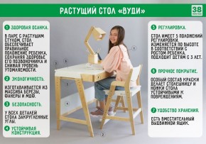 Комплект растущий стол и стул 38 попугаев «Вуди» (Серый, Без покрытия) в Снежинске - snezhinsk.mebel-74.com | фото
