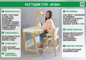 Комплект растущий стол и стул с чехлом 38 попугаев «Вуди» (Белый, Белый, Салют) в Снежинске - snezhinsk.mebel-74.com | фото
