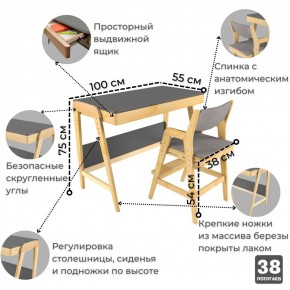 Комплект растущий стол и стул с чехлом 38 попугаев «Вуди» (Серый, Береза, Серый) в Снежинске - snezhinsk.mebel-74.com | фото