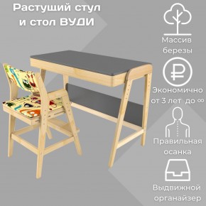 Комплект растущий стол и стул с чехлом 38 попугаев «Вуди» (Серый, Без покрытия, Монстры) в Снежинске - snezhinsk.mebel-74.com | фото