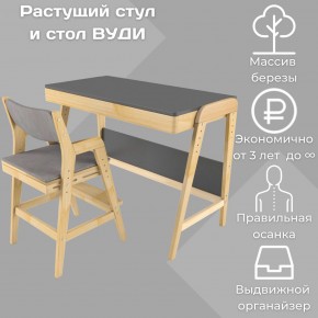 Комплект растущий стол и стул с чехлом 38 попугаев «Вуди» (Серый, Без покрытия, Серый) в Снежинске - snezhinsk.mebel-74.com | фото