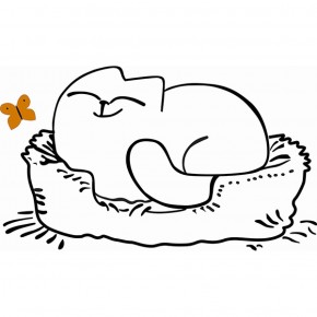 Кровать двухуровневая Кот № 900.1 ЛЕВАЯ (туя светлая/белый) в Снежинске - snezhinsk.mebel-74.com | фото