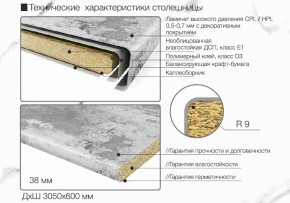 Кухонный фартук со столешницей (А-01) в едином стиле (3050 мм) в Снежинске - snezhinsk.mebel-74.com | фото