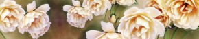 Кухонный фартук Цветы 066 МДФ матовый (3000) Flowers в Снежинске - snezhinsk.mebel-74.com | фото
