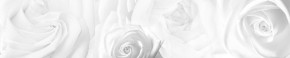 Кухонный фартук Цветы 217 МДФ матовый (3000) Flowers в Снежинске - snezhinsk.mebel-74.com | фото