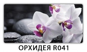 Обеденный стол Паук с фотопечатью узор Плита Р411 в Снежинске - snezhinsk.mebel-74.com | фото