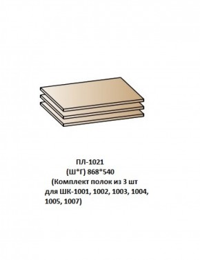 ПЛ-1021 (Комплект полок из 3 шт для ШК-1001, 1002, 1003, 1004, 1005, 1007) в Снежинске - snezhinsk.mebel-74.com | фото