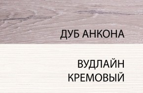 Шкаф 1DZ, OLIVIA, цвет вудлайн крем/дуб анкона в Снежинске - snezhinsk.mebel-74.com | фото