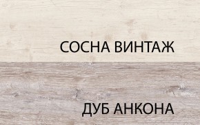 Шкаф 2D1S, MONAKO, цвет Сосна винтаж/дуб анкона в Снежинске - snezhinsk.mebel-74.com | фото