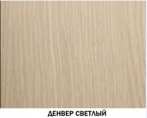 Шкаф для одежды №609 "Инна" Денвер светлый (*без полок) в Снежинске - snezhinsk.mebel-74.com | фото