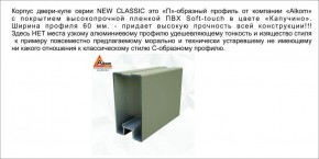 Шкаф-купе 1700 серии NEW CLASSIC K3+K3+B2+PL1 (2 ящика+1 штанга) профиль «Капучино» в Снежинске - snezhinsk.mebel-74.com | фото