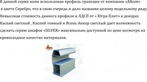 Шкаф-купе 1700 серии SILVER S5+S5+B2+PL3 (2 ящика+2 штанги) профиль «Серебро» в Снежинске - snezhinsk.mebel-74.com | фото