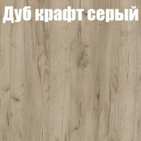 Шкаф-купе Эдем 1.5 (Дуб Крафт серый/Бетонный камень) двери ЛДСП в Снежинске - snezhinsk.mebel-74.com | фото