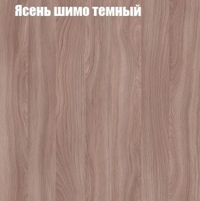 Шкаф-купе «ТАНДЕМ» 2-х дверный в алюминиевом профиле (Дверь К+К) 1600/h2200 в Снежинске - snezhinsk.mebel-74.com | фото