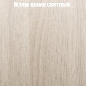 Шкаф-купе «ТАНДЕМ» 2-х дверный в алюминиевом профиле (Дверь ЛДСП+Z) 1200/h2200 в Снежинске - snezhinsk.mebel-74.com | фото