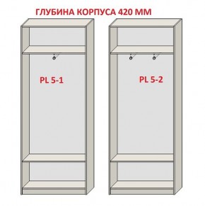 Шкаф распашной серия «ЗЕВС» (PL3/С1/PL2) в Снежинске - snezhinsk.mebel-74.com | фото