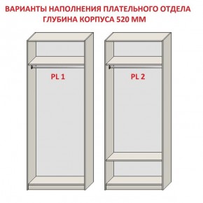 Шкаф распашной серия «ЗЕВС» (PL3/С1/PL2) в Снежинске - snezhinsk.mebel-74.com | фото