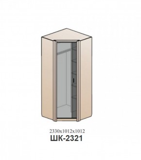Шкаф ШЕР Дуб серый/айронвуд серебро (ШК-2321) в Снежинске - snezhinsk.mebel-74.com | фото