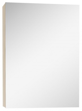 Шкаф-зеркало Мечта 40 Дуб сонома АЙСБЕРГ (DM2317HZ) в Снежинске - snezhinsk.mebel-74.com | фото
