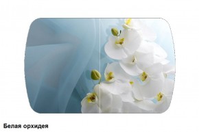 Стол Бостон 2 (1100*700) опоры Брифинг (Стекло/фотопечать Белая орхидея) в Снежинске - snezhinsk.mebel-74.com | фото