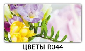 Стол раздвижной Бриз лайм R156 Орхидея R041 в Снежинске - snezhinsk.mebel-74.com | фото