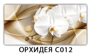 Стол раздвижной Трилогия с фотопечатью Доска D111 в Снежинске - snezhinsk.mebel-74.com | фото