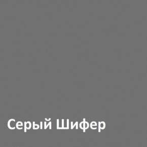 Юнона Шкаф торцевой 13.221 в Снежинске - snezhinsk.mebel-74.com | фото